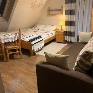 Kwatera prywatna Pokoje U Bodzia 2, Zakopane